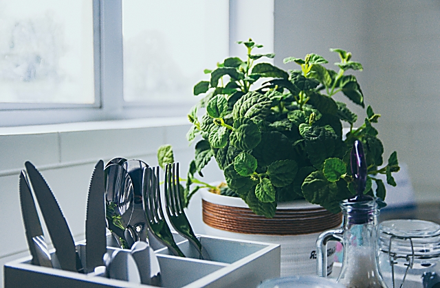 Kitchen Decor